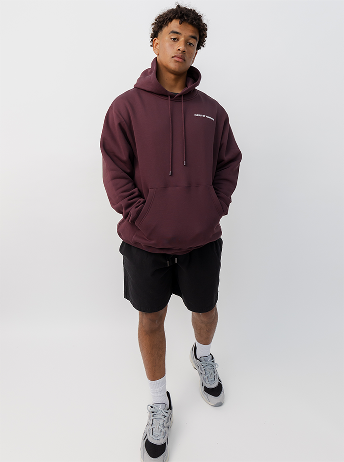 Dream Big Heavyweight Pullover - Plum